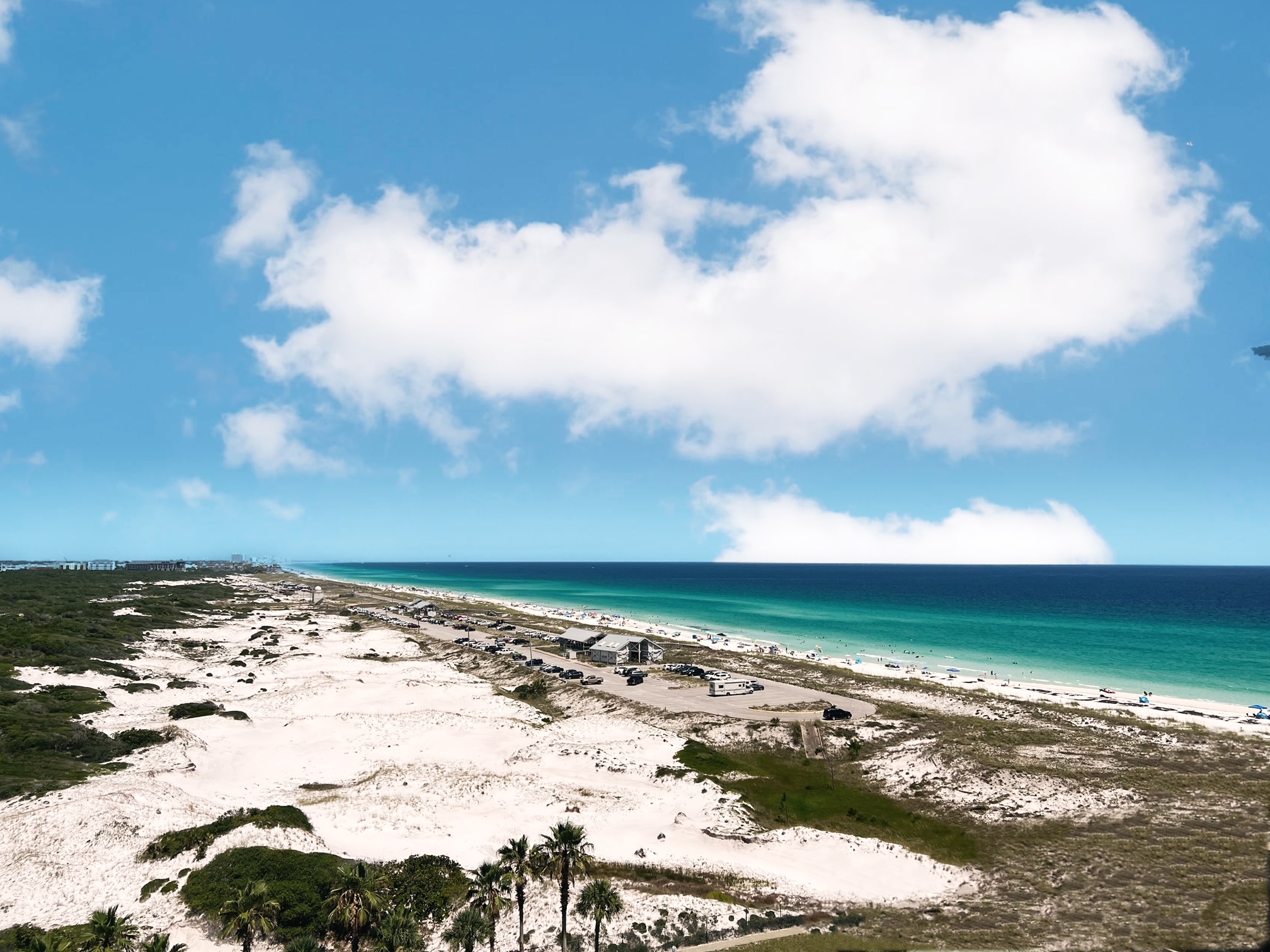 What’s your favorite color? photo